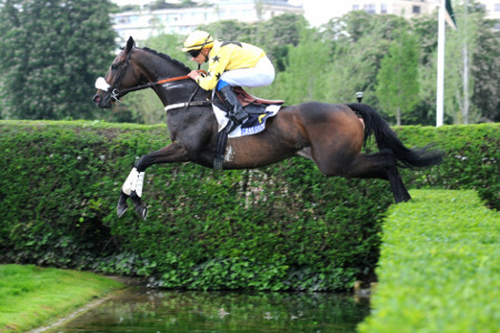 Francia. Mercoledì ad Auteuil il Prix William Head, in pista Storm Of Saintly vincitore del Grande Steeple di Parigi 2014