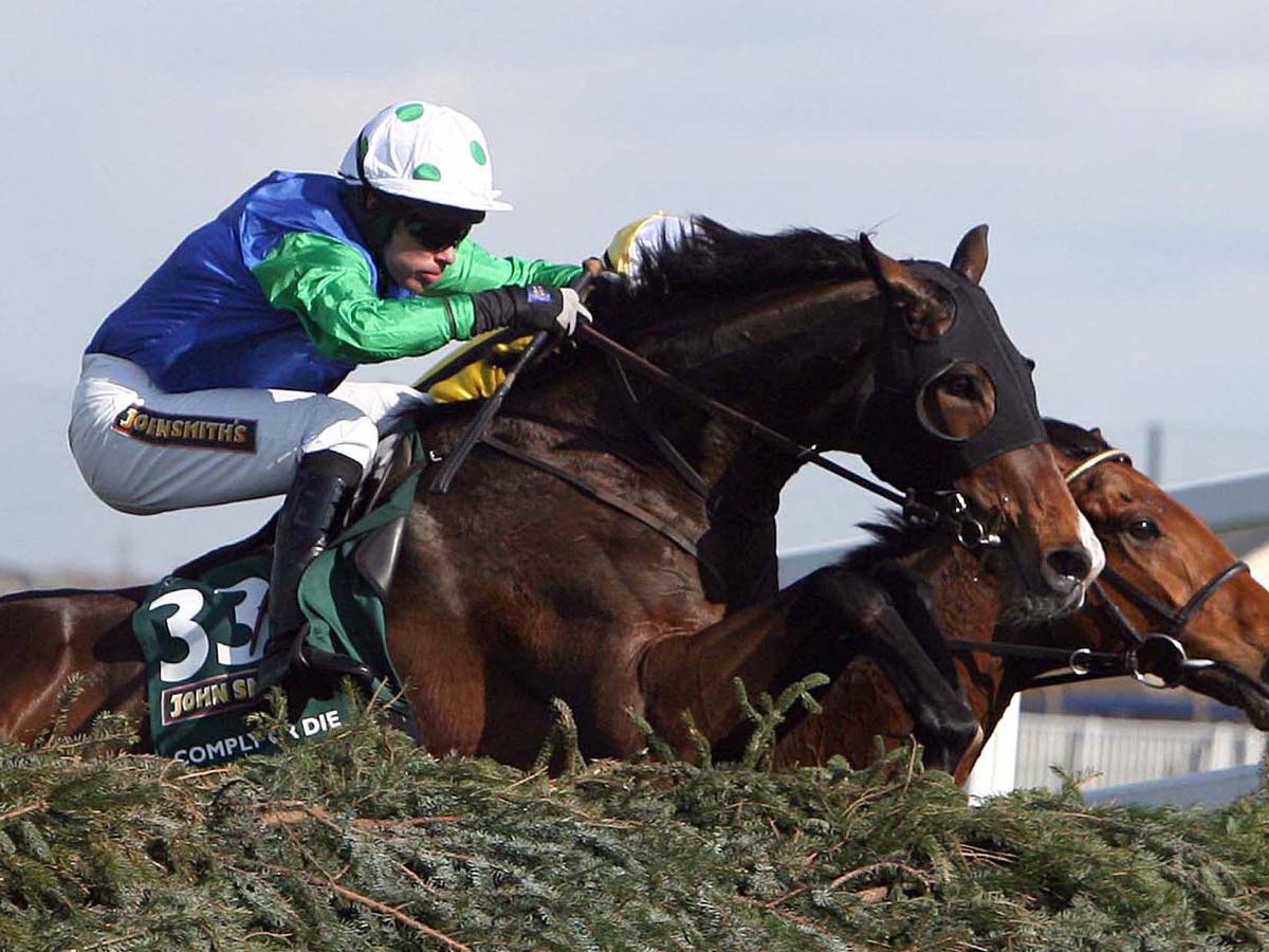 Inghilterra. Muore all’età di 17 anni Comply Or Die, l’eroe del Grand National 2008. Pipe, “Molto rattristato per la sua perdita”