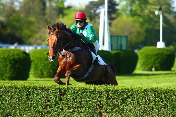 Merano. Nel Lord Madonna sorpresa di Notti Magiche, battuto Chiaromonte. Aichner raddoppia con Vespro Place, Fafintadenient splendido sullo steeple dice no a Khalshani. Ara Gold stoico nel cross country