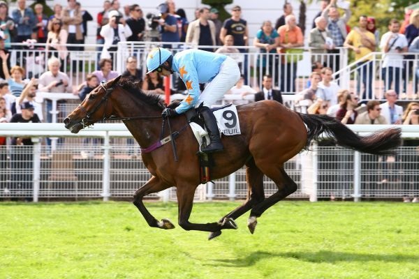 Auteuil. Willie Mullins domina il sabato di Parigi, Un De Sceaux devastante nel Prix La Barka, batte La Grand Lucé e Alex De Larredya. Footpad si oppone al fenomeno Device nel Questarabad