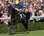 Francia. A Le Lion D’Angers si è disputato l’atteso Prix Anjou Loire Challenge. Successo della femmina Vinga interpretata da Felix De Giles