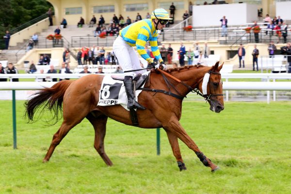 Francia. A Dieppe netta affermazione dell’outsider Allesson nel Prix Région Normandie. L’allievo di Hervé Billot ha prevalso sull’altra sorpresa della corsa Jour Villard e Bal Celtique