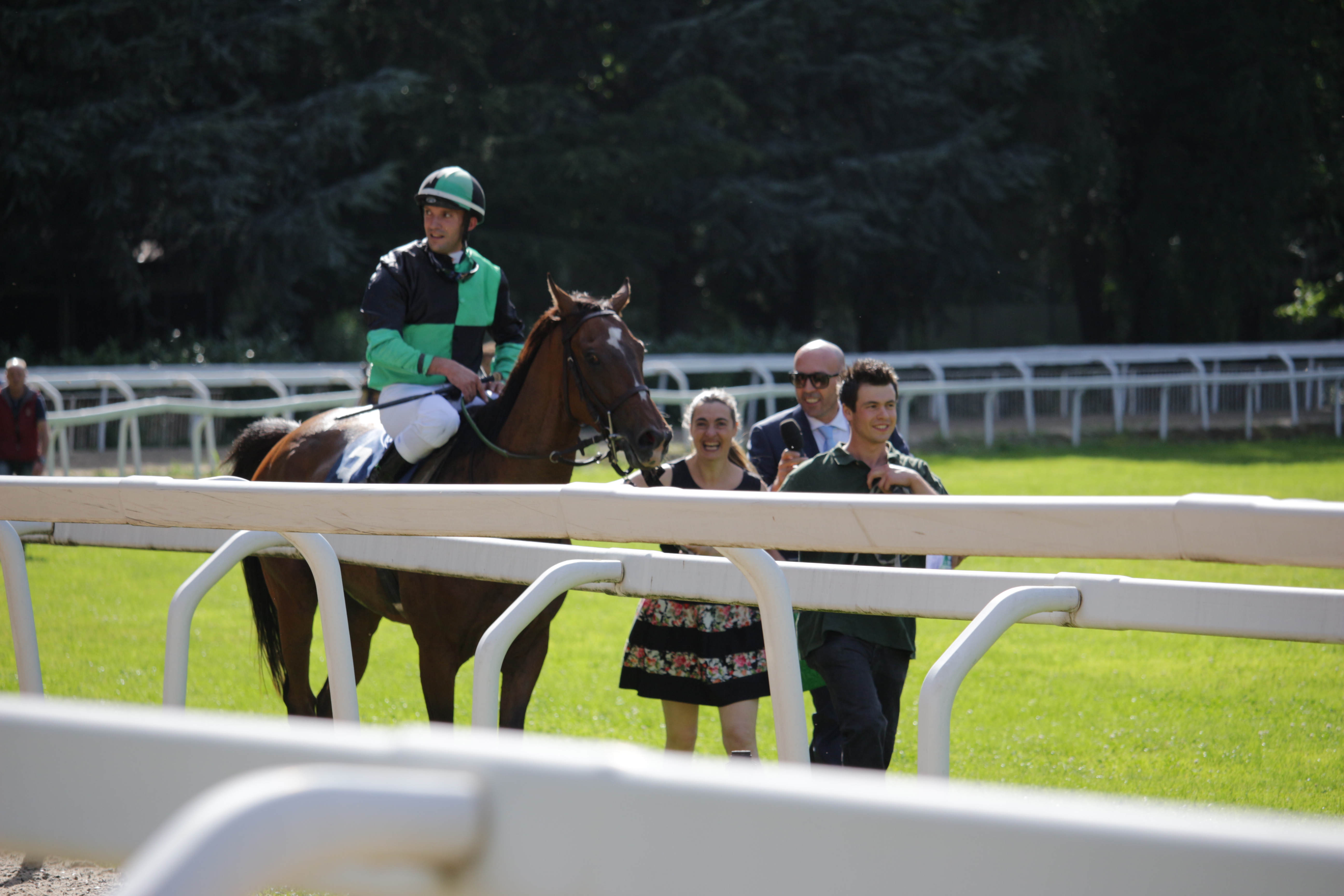 Merano. Domenica Cuomo e Val D’Isarco di qualità, in pista Chiaromonte, Sol Invictus, High Master e Florosso. Fra i tre anni sfida in famiglia fra i compagni Golden Hello e White Ensign, in pista anche le scuole sul cross country