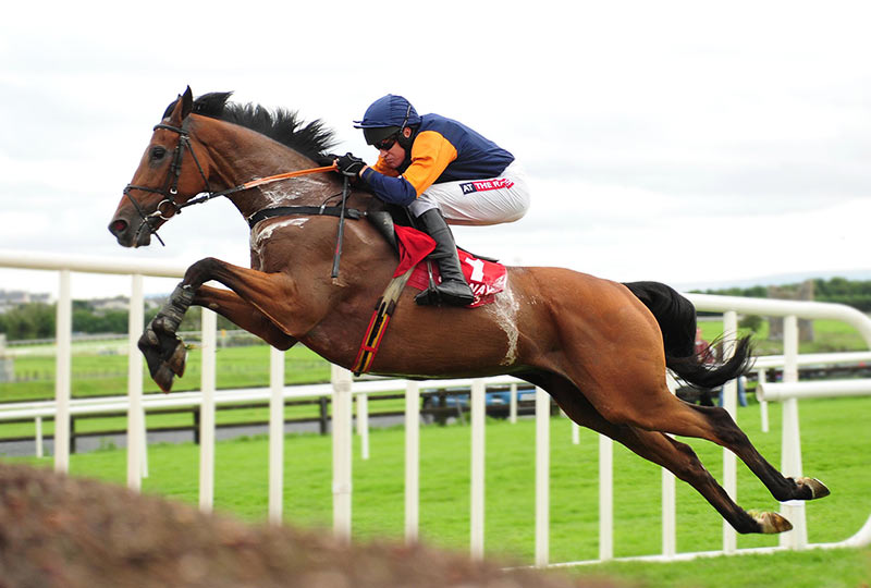 Irlanda. Il vincitore delle Galway Hurdle 2013 Rebel Fitz, ancora al prato dopo l’intervento chirurgico subito ad un arto lo scorso Novembre. Winters, ‘Per ora non pensiamo alle corse, forse tornerà nel 2017’