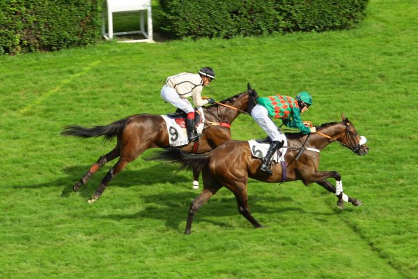 Francia. Ad Auteuil si sono disputate soltanto le prime tre corse, poi tutti a casa causa il gran caldo. Nel Prix la Périchole vince ancora Saint Goustain Blue avanti a Triana Du Berlais, non pervenuto l’atteso Roi Image