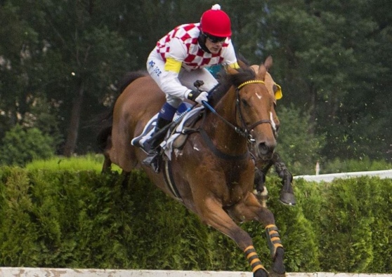 Merano. Spettacolo nel Cuomo, Sol Invictus in un’inedita versione dice no al coraggioso Chiaromonte, terzo High Master. Raffaele Romano ancora al top, doppio sigillo nel Cermes e Val D’Isarco grazie ad Amaranthus e Dominato