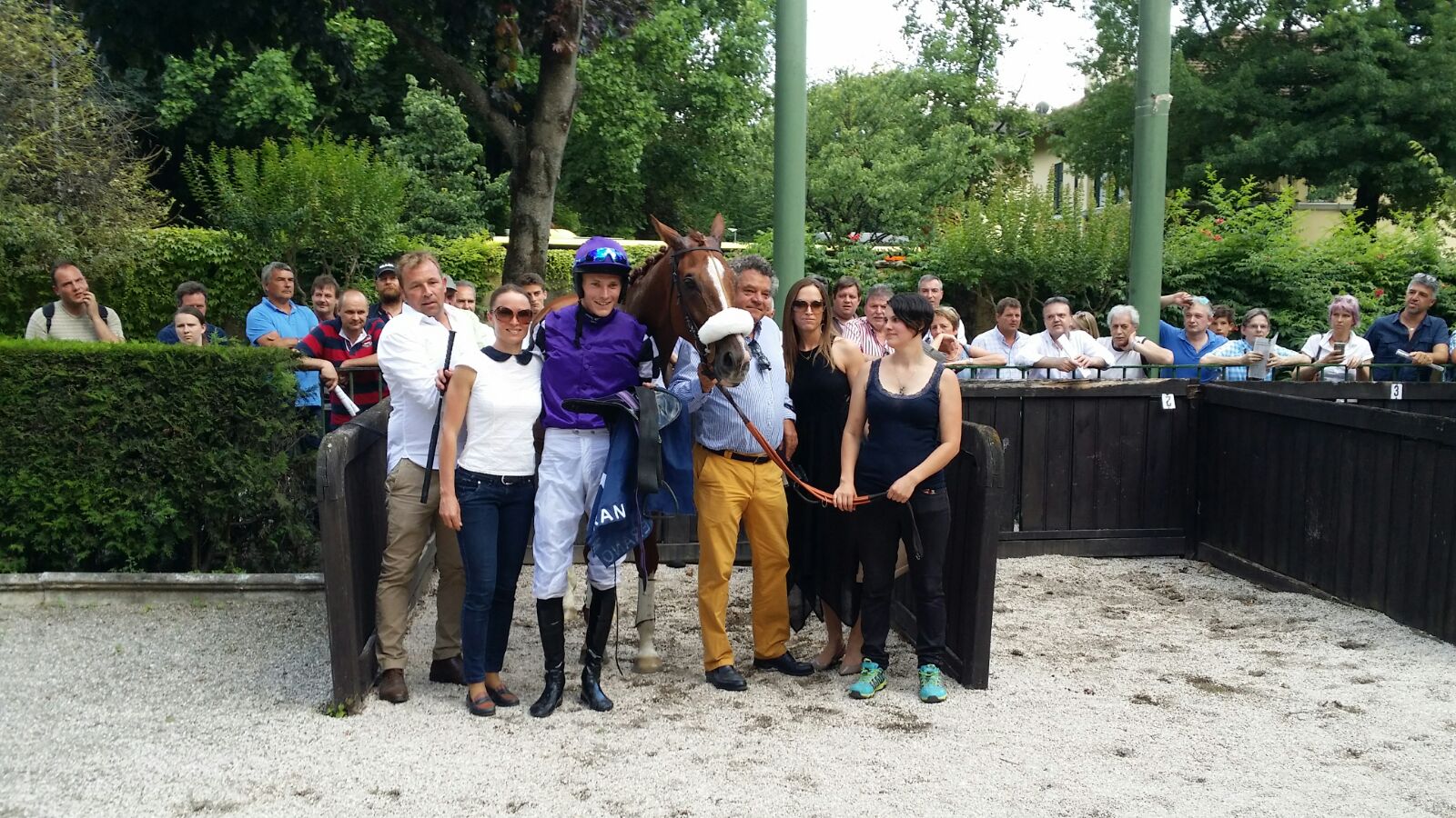 Merano. Un devastante Le Costaud annichilisce i suoi avversari nel Grande Steeple Chase D’Europa. Secondo termina il disordinato ma efficace Kazzio, terzo un commovente Alcydon Fan