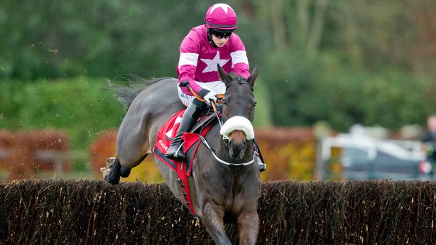 Irlanda. Gordon Elliott e Giggistown vincono il Galway Plate grazie a Lord Scoundrel. Perfetta la gestione da parte del giovanissimo jockey Donagh Meyler