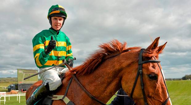 Irlanda. Barry Geraghty out dopo la caduta a Market Rasen salterà Galway. Occasione per Mark Walsh di mettersi in mostra al prossimo festival di Ballybrit