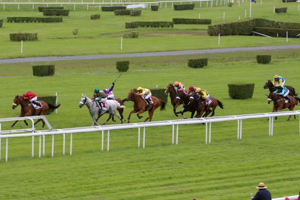 Francia. Nel Prix Leopold d’Orsetti a Clairefontaine, vince brillantemente la femmina Meshadora Pelem, battuti Kyalco e Silver Chop. Ottima la gestione del giovane jockey Simon Cossart