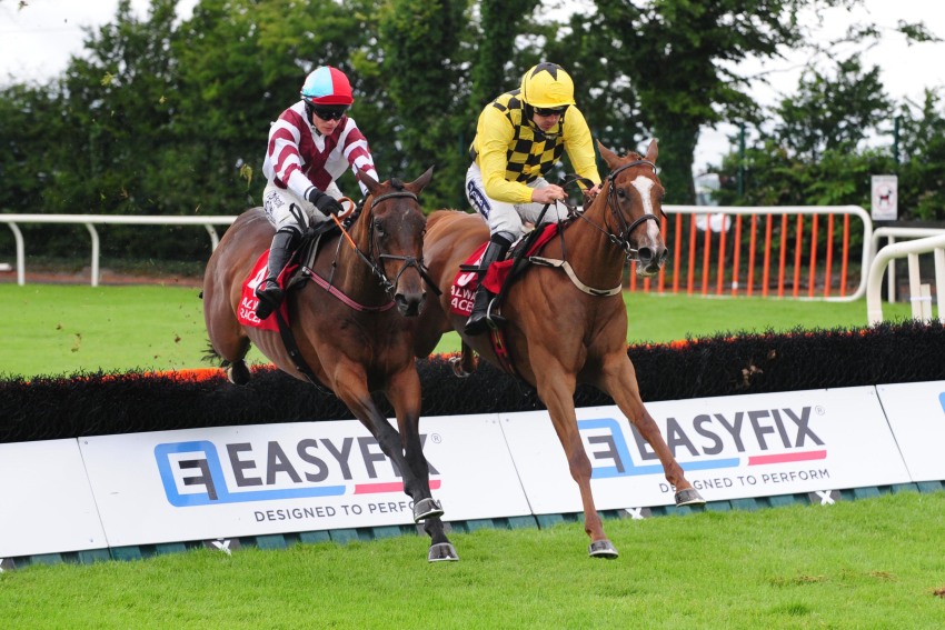 Irlanda. Nella giornata inaugurale del meeting di Galway, Muthaza passeggia nelle mani di Ruby Walsh nella novizi per i cavalli di quattro anni