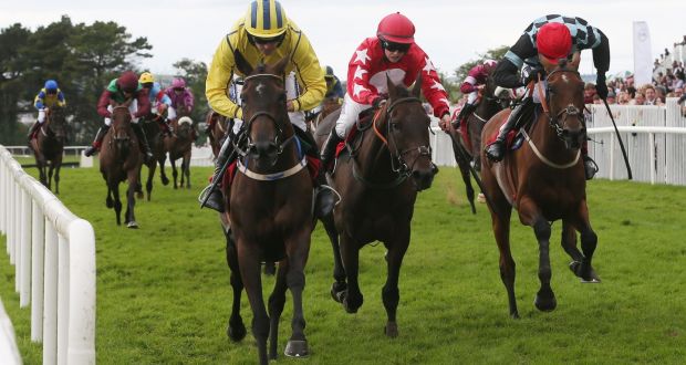 Galway. Ancora una vittoria al festival per Ruby Walsh e Willie Mullins grazie alla femmina Westerner Lady nel Ladbrokes Handicap Hurdle di grado B