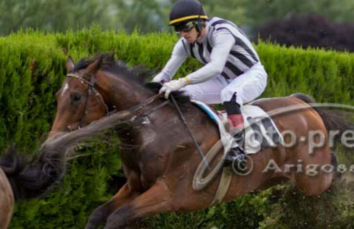 Merano. Amaranthus vince il Fiorio e si candida al Tagliabue. Romano ci mette del suo e dice no al cresciuto Leitrim Traveller. Nel cross sorpresa Allycat, battuto il ceco Arman e il compagno Ara Gold