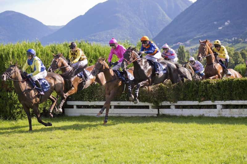 Italia. Domenica il Grande Steeple Chase di Roma, il campione in carica Arman e il grigio Hurricane Mix chiedono la rivincita a Nils, Talent è la novità ceca