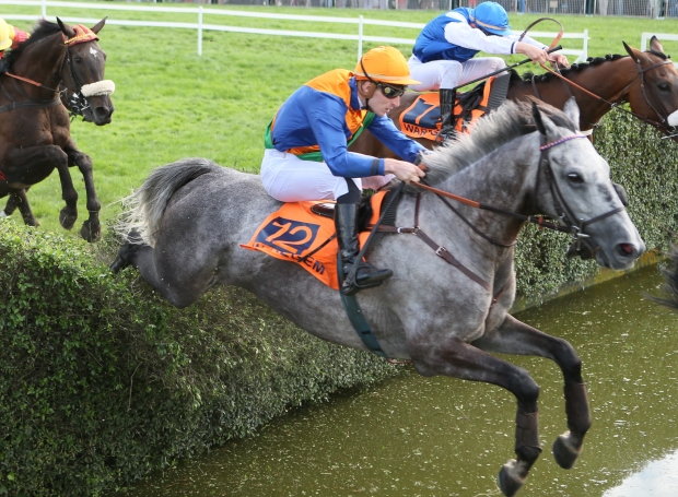 Belgio. A Warengem nel Grande Steeple Chase delle Fiandre, domina il campione in carica Taupin Rochelais davanti al compagno di allenamento Varaband du Buisson e l’altro ospite francese This Is It