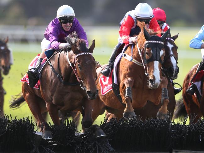 Australia. Nel Grand National Hurdle di Sandown splendida vittoria dell’atteso Zanteco. L’allievo di Darren Weir ha prevalso senza particolari problemi su Tremec e Slowpoke Rodriguez, solo quarto Gingerboy