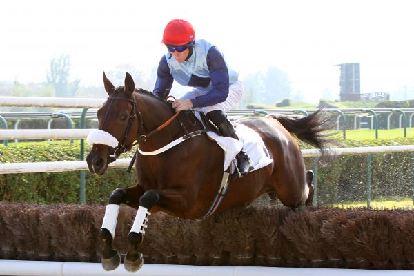 Francia. Device si conferma al rientro nell’atteso Prix de Maisons Laffitte. Macaire fa l’en plein piazzando al secondo posto Caresse d’Estruval