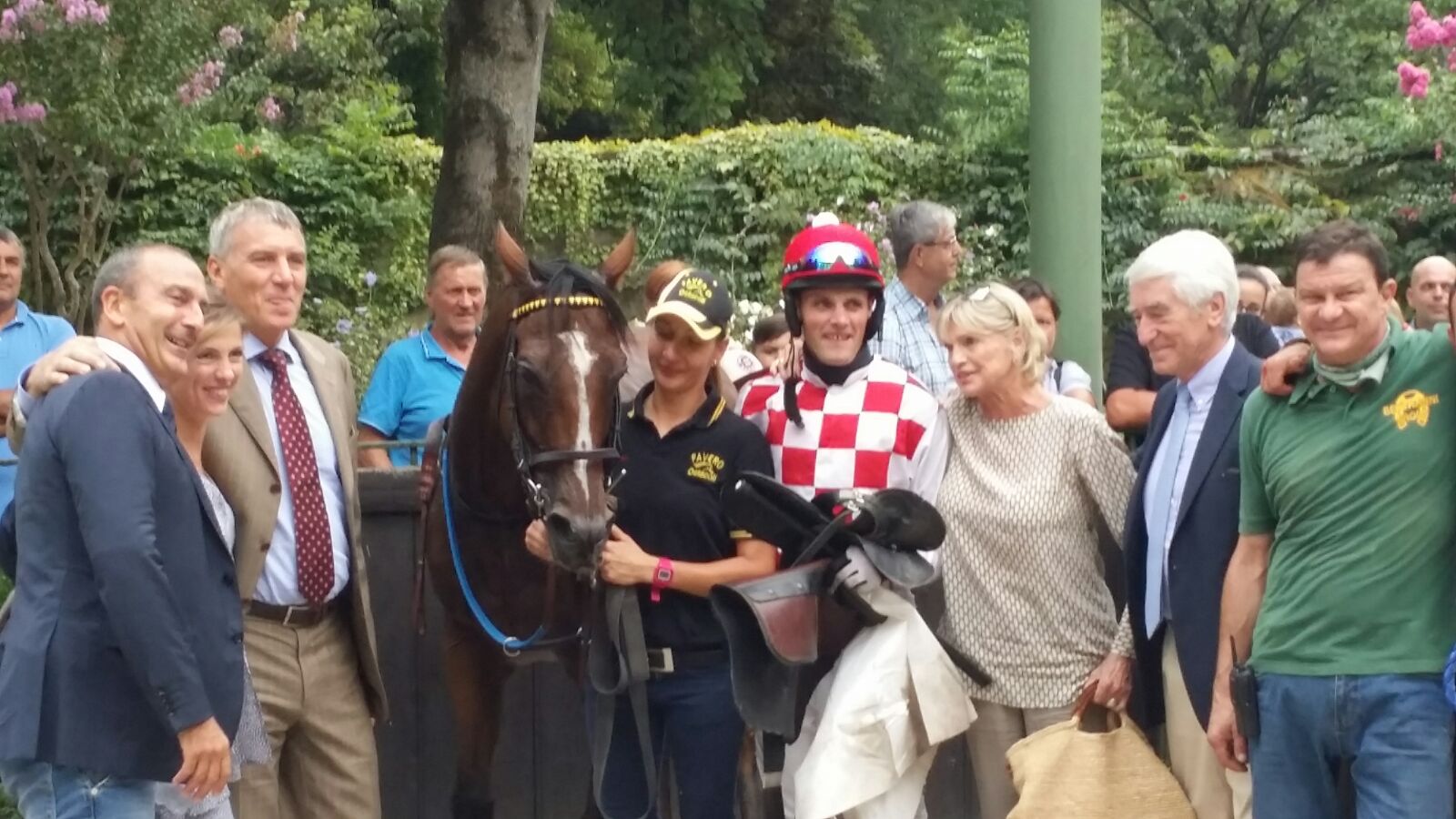 Merano. High Master prevale nel Premio Assi, Amaranthus quarta a seguire nell’Ettore Tagliabue. Sol Invictus torna a vincere sulle siepi nella sfida eterna con Chiaromonte, Nadat corre verso la Siepi per i 4 anni. In cross conferma per la promessa di Lydia Olisova Allycat