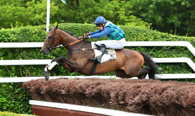 Francia. Nel Prix Robert Lejeune si rivede il vincitore dell’Aguado Kalifko. L’allievo di Bressou cerca una vittoria convincente per puntare al gruppo uno del Cambacérès in programma a Novembre