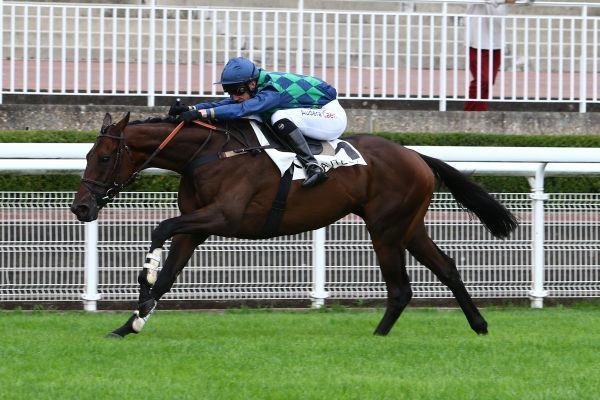 Auteuil. Kalifko vince in bello stile il Prix Robert Lejeune, l’allievo di Dominique Bressou prevale di giustezza sul ‘Macaire’ Invicter