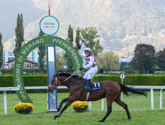 Italia. Ferragosto internazionale a Merano fra piano e ostacoli con un’edizione top del Creme Anglaise, steeple grande dove tornano a sfidarsi il detentore della corsa Mazhilis e il polacco Sztorm. Nel Royal Mougins match fra Notti Magiche e Nelly Darrier, corsa nella quale si rivede anche il veterano Chiaromonte. Nel premio Alpha Two, ci sono Treizor du Pilori e Zanini con la novità Accellerator