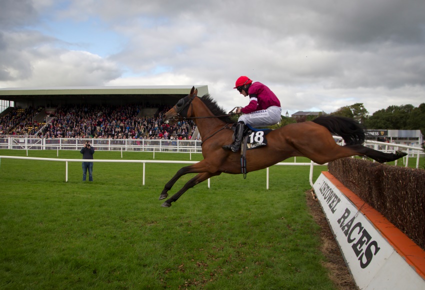 Irlanda. A Listowel tutto pronto per l’atteso e ricco Guinness Kerry National Handicap Chase. Giggistown schiera il suo plotone, Willie Mullins ha scelto Ballycasey per l’americano Ricci, in pista anche il vincitore dell’edizione 2014 Your Busy