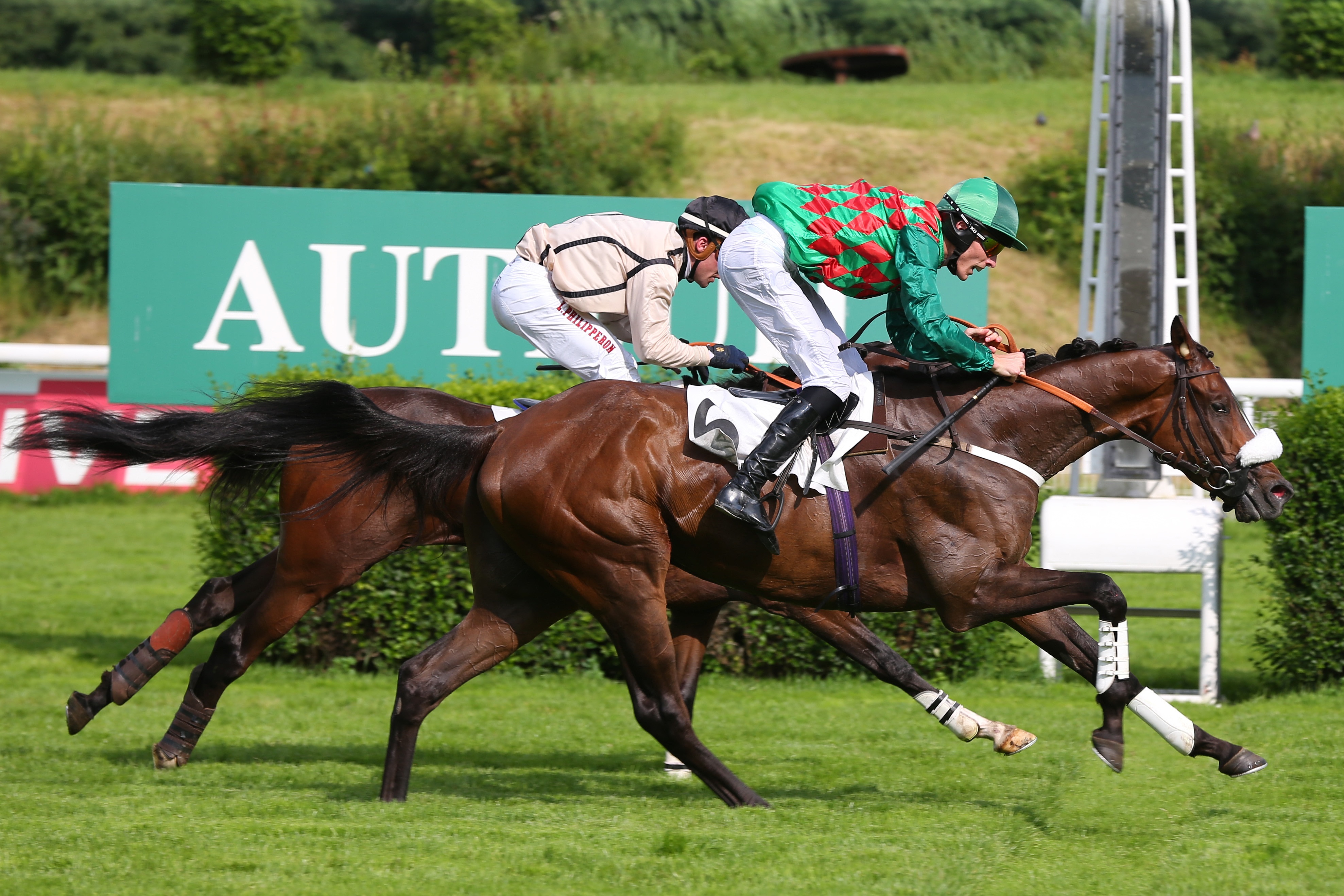 Auteuil. Tornano le corse al tempio parigino con il Prix Mélanos, gara di preparazione al prossimo Renaud du Vivier. Il champion trainer Guillaume Macaire al via con l’affascinante Saint Goustan Blue