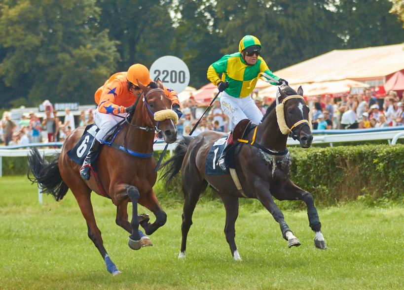 Italia. A Merano nel Gran Criterium d’Autunno conferma per il polacco Santo Cerro. Nella Corsa siepi per i 4 anni dominio del ceco di Monte Negro Kifaaya, battuti Nadat e le Cirque