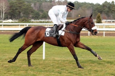 Enghien. Nel Prix Jim Crow ottimo primo piano di The Stomp per i colori di Jean Cloud Rouget. En plein nella corsa per Francoise Nicolle che piazza al secondo posto l’outsider Arry. Terza autrice di un buon rientro l’attesa Miss Champdoux