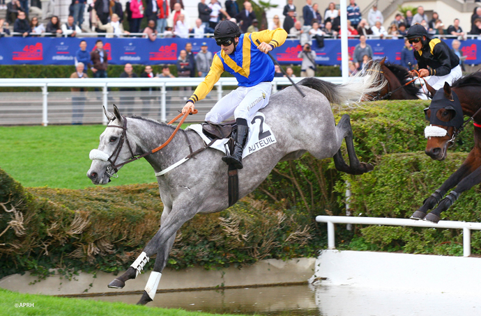 Francia. Ad Auteuil si corre l’atteso Prix The Fellow, gara di preparazione al Maurice Gillois, in pista torna il vincitore del Ferdinand Dufaure, il Macaire Punch Nantais