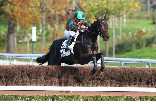 Francia. Alex De Larredya largheggia nel Grand Prix D’Automne, trionfo per Francoise Nicolle, Simon Munir e il jockey Gaetan Masure alla prima classica della propria carriera. L’atteso Blue Dragon esce di scena a traguardo lontano, Solway e Ptit Zig completano il marcatore