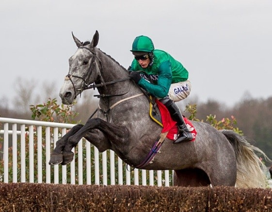 Inghilterra. A Carlisle test probante per tre grossi calibri sullo steeple del tradizionale Colin Parker Memorial Chase, dove Bristol De Mai attende More Of That e Seeyouatmidnight