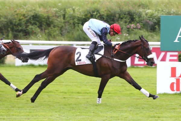 Francia. Prix Triquerville ad Auteuil con un campo assai omogeneo dove il champion trainer Guillaume Macaire lancia il ‘Saint des Saints’ Chahuteur per Magalent Bryant