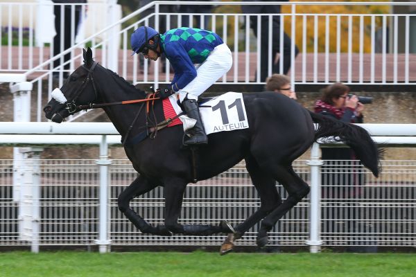 Francia. Ad Auteuil si è corso il Prix Emilius, tradizionale confronto per inediti di tre anni in siepi, con la devastante vittoria di Darling des Bordes un erede da Balko per Madame Patrick Papot