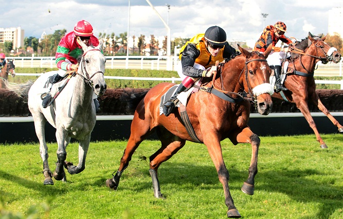 Francia. Domani l’ultima edizione del Grande Steeple Chase d’Enghien, poi Compiégne prenderà il suo posto a partire dal 2017. La femmina Miss Champdoux contro tutti nella classica di Montmorency