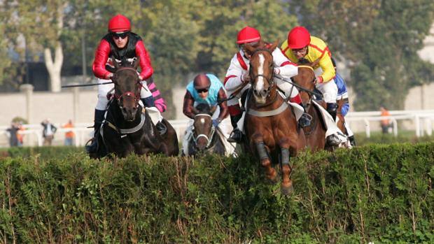 ITALIA. San Siro apre la stagione dei grandi ostacoli con Corona Ferrea e Marco Rocca, 4 anni per la prima e anziani sulle siepi. In apertura una hurdle per cinque e oltre sul doppio miglio e l’handicap sullo steeple chase