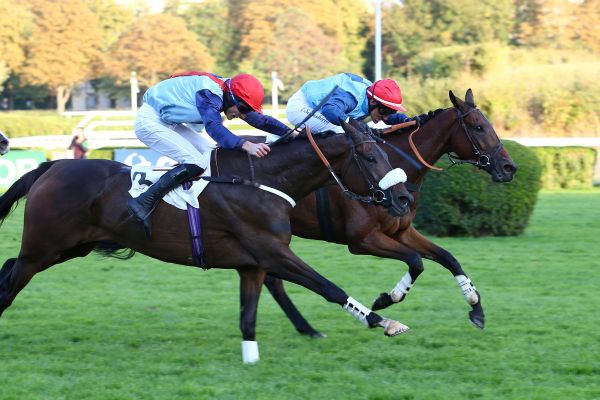 Francia. Super weekend ad Auteuil, c’è la grande corsa. Domenica una splendida edizione del Grand Steeple Chase de Paris con il detentore del titolo So French alla ricerca della storia. L’allievo di Macaire vuole il triplo per eguagliare Mid Dancer, Katko e Hyeres III, molti gli invaders irlandesi nella due giorni di Montmartre, dove si corrono anche Grand Course de Haies e Ferdinand Dufaure