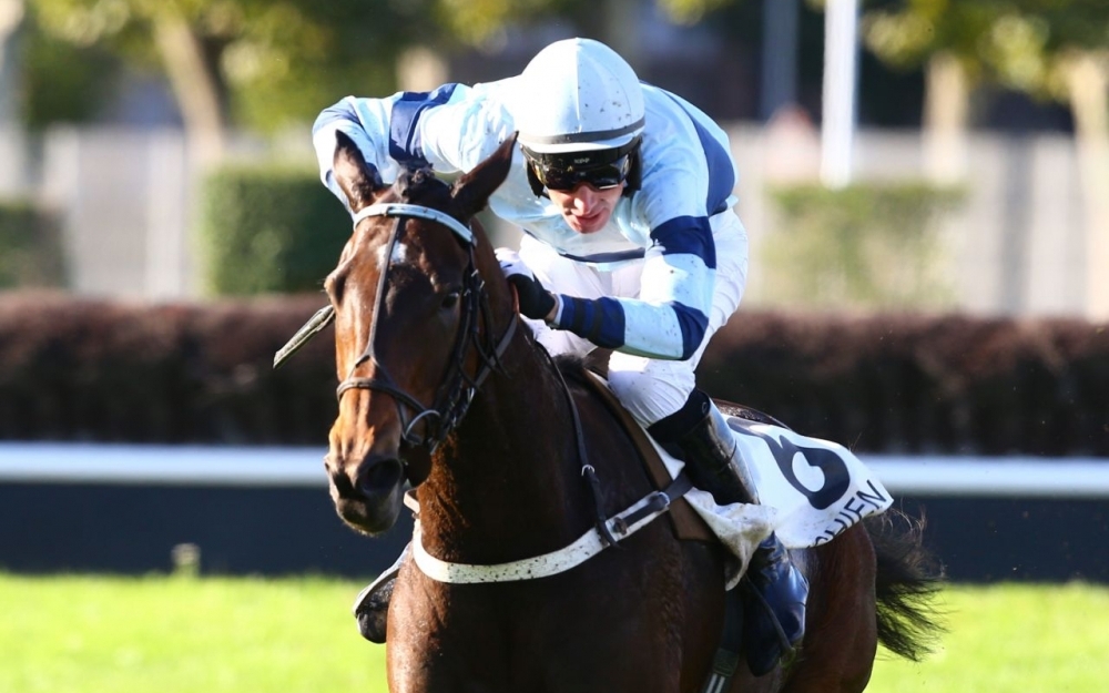 Francia. Miss Champdoux si laurea campionessa nell’ultimo atto del Grande Steeple Chase d’Enghien. L’allieva di Philippe Peltier ha prevalso sul coraggioso Arry e la sorpresa Lachlan Bridge, perfetto in sella Jhonny Charron