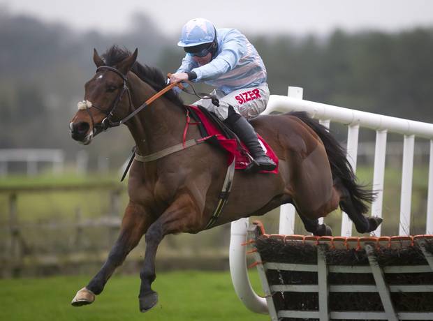 Irlanda. En plein di gruppo per De Bromhead a Punchestown grazie a Sadler’s Risk e Three Stars. Magistrali interpretazioni del giovane David Mullins e del veterano Ruby Walsh