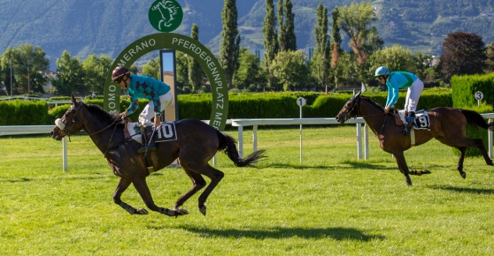 Italia. Merano chiude i battenti con il suo ultimo gruppo della stagione, gli Steeple Chase d’Italia Memorial Argenton. Metà dell’incasso devoluto ai terremotati del centro Italia