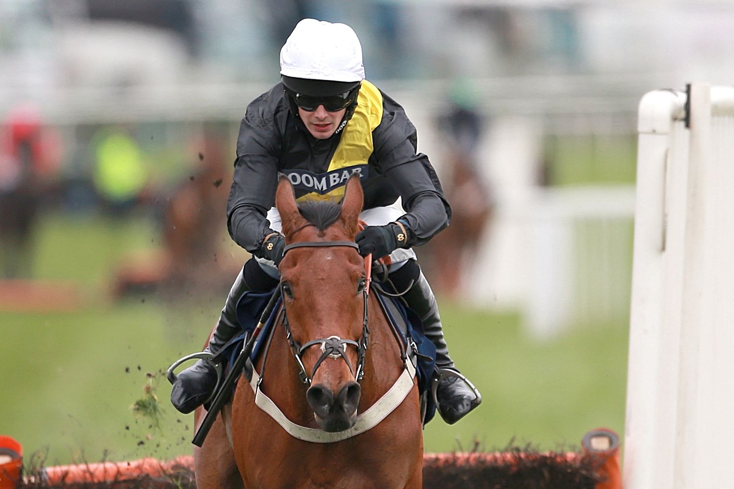 Inghilterra. Seeyouatmidnight dice no all’atteso Bristol De Mai nel testa a testa del Colin Parker Memorial Chase di Carlisle, non ha corso More Of That