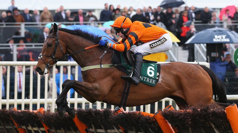 Inghilterra. Thistlecrack splendido nell’esordio sullo steeple di Chepstow. L’allievo di Colin Tizzard andrà a Cheltenham il prossimo mese per iniziare a preparare la Gold Cup