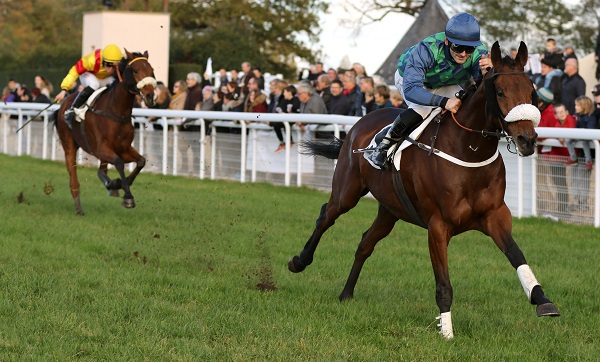 Francia. Gorvello domina il Grand Steeple Chase de Bordeaux. L’allievo di Guillaume Macaire ben interpretato da Bertrand Lestrade ha prevalso su Azrou d’Ex e Sam