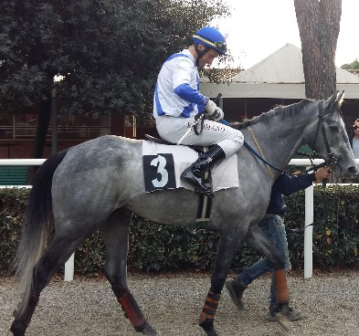 Italia. A Grosseto si apre il breve meeting autunnale sugli ostacoli, tre corse nella giornata di mercoledì clou riservato ai tre anni in siepi. Sullo steeple cross si rivede il campione in carica Hurricane Mix