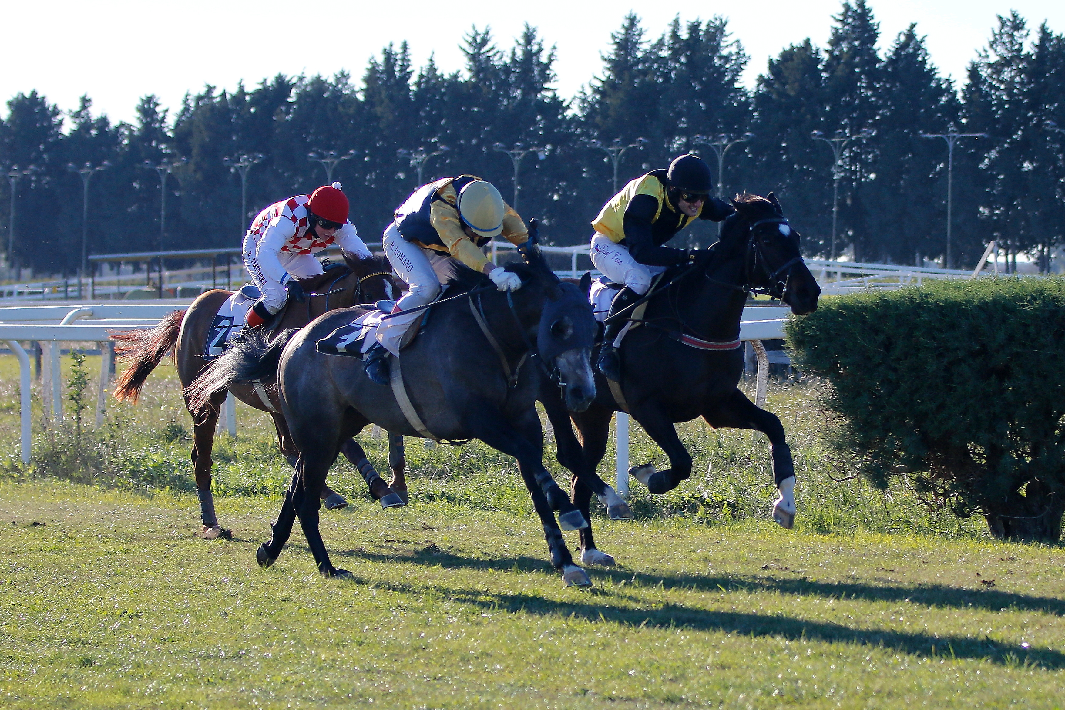 Italia. Lost Monarck si conferma anche in handicap fra i tre anni  in siepi. Salar Fircroft vince il cross country, Burgundy Ball non sbaglia nella prova riservata agli anziani