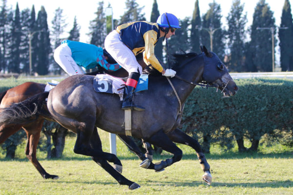 Italia. Mercoledì a Grosseto clou riservato ai tre anni, con Lost Monarck alla ricerca del bis dopo la vittoria ottenuta nella maiden. Kitano atteso nel cross country, il ceco Burgundy Ball da battere fra gli anziani