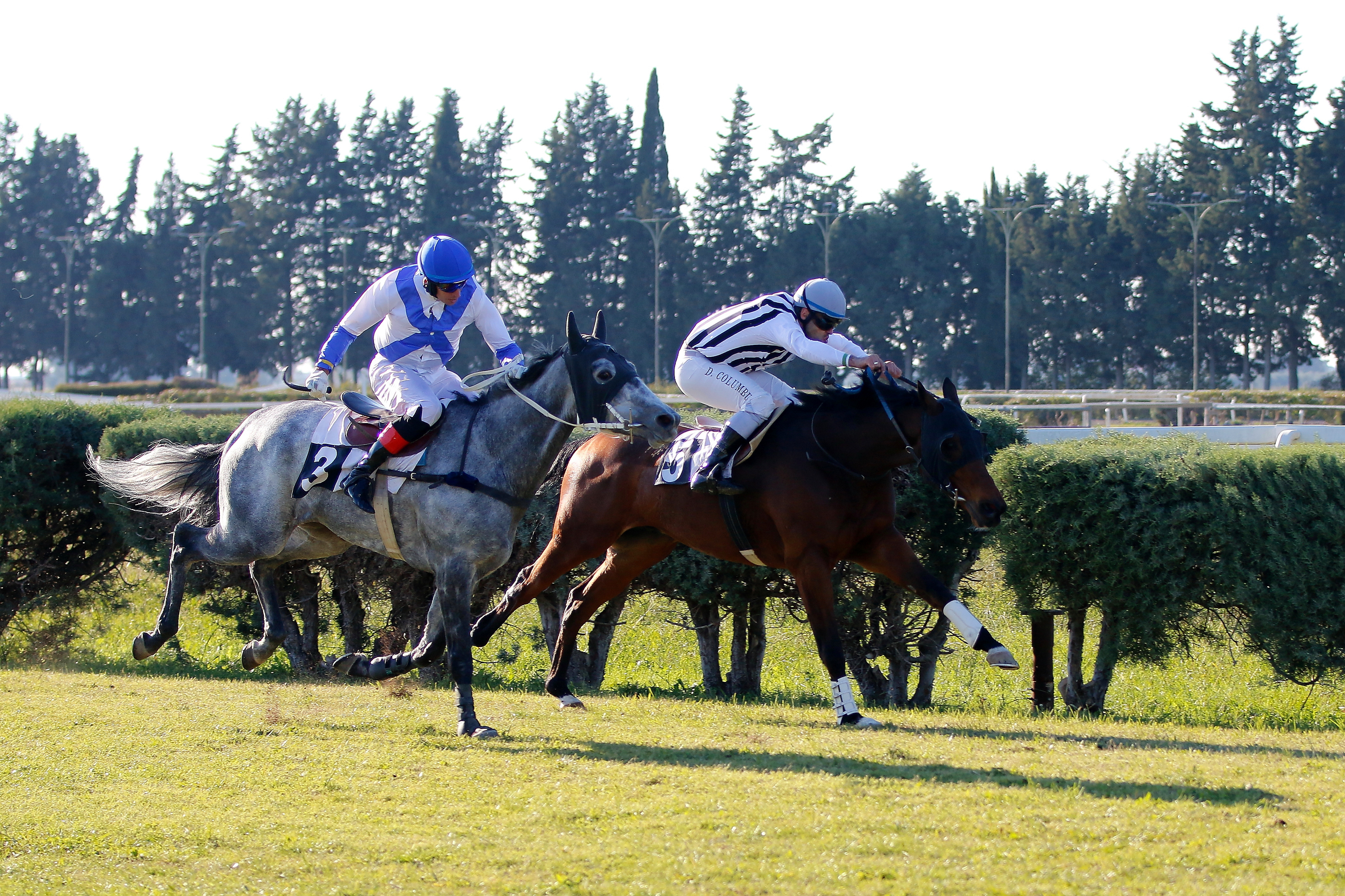 Italia. Grosseto senza Paolo Favero, Romano domina l’apertura. Lunatorio batte Hurricane Mix sullo steeple dopo un finale emozionante, Lost Monarck si conferma nella maiden, Lord Sholokhov prevale fra gli anziani