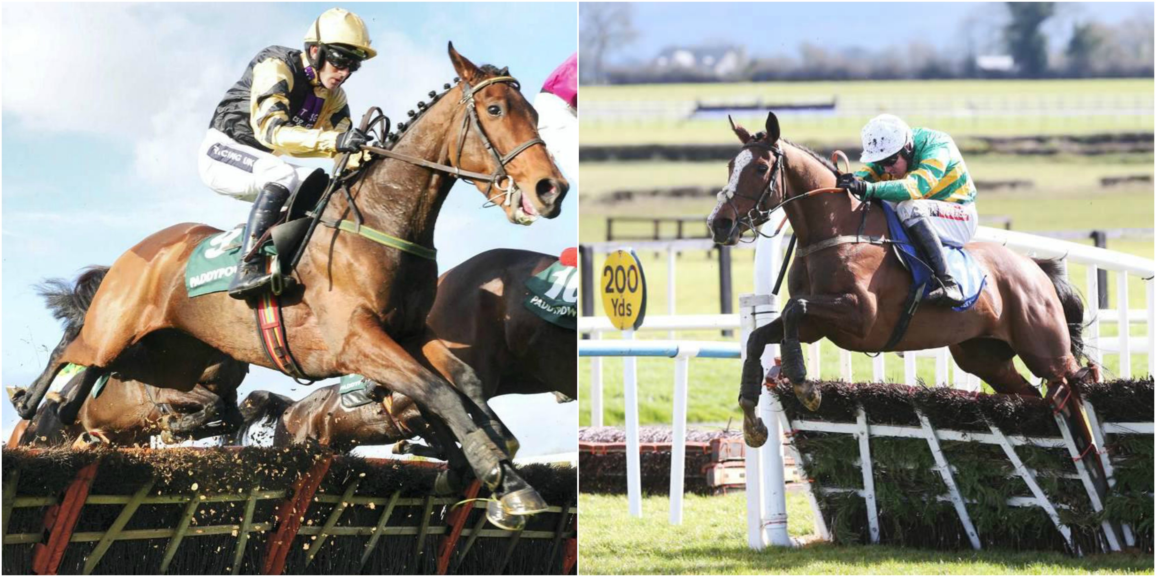 Irlanda. Cinque al via nelle Morgiana Hurdle di primo grado, Willie Mullins contro John McManus nella classica di questa domenica a Punchestown. Ruby Walsh ha scelto Nichols Canyon, Barry Geraghty in sella alla novizia Jer’s Girl