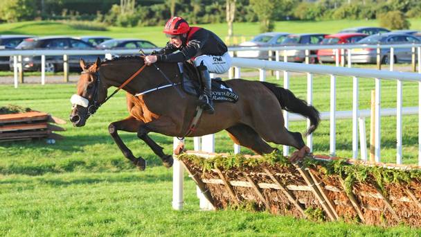 Inghilterra. Peregrine Run e Roger Loughran s’impongono nelle Hyde Hurdle di secondo grado a Cheltenham, battuti gli attesi Wholestone e West Approach