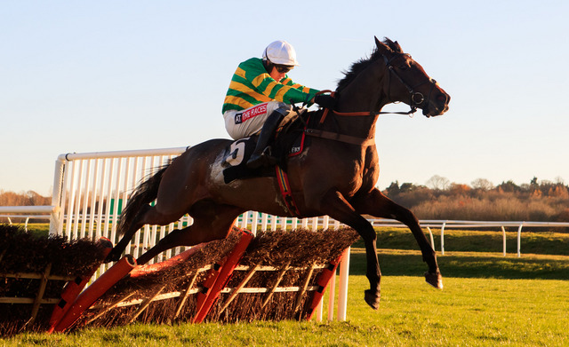 Inghilterra. Devastante vittoria del rappresentante di John McManus Unowhatimeanharry nelle Long Distance Hurdle di Newbury, nulla da fare per l’atteso Ballyoptic